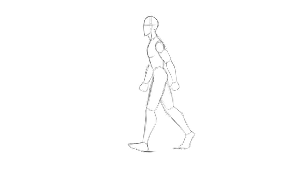 Dibujos intermedios de un ciclo de caminata de perfil