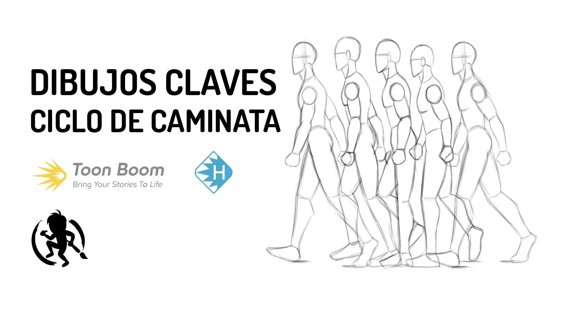 Dibujos claves de un ciclo de caminata de perfil
