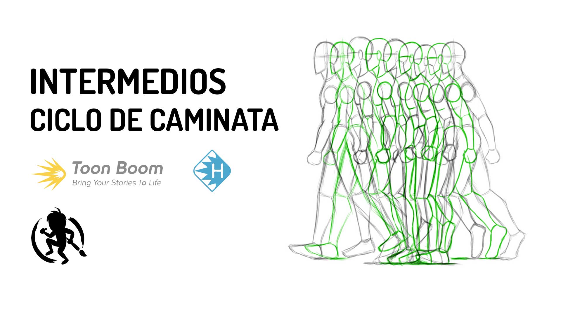 Dibujos intermedios de un ciclo de caminata de perfil