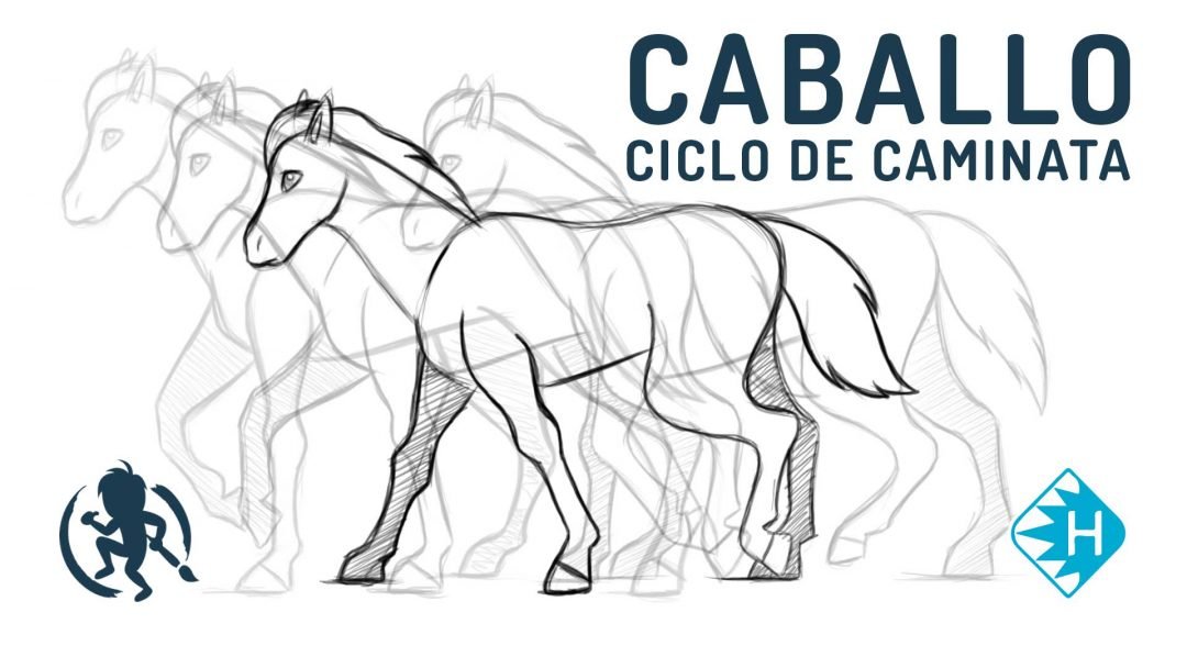 Como animar un ciclo de caminata de un caballo