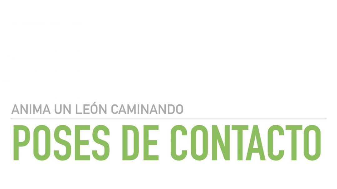 Poses de Contacto del León