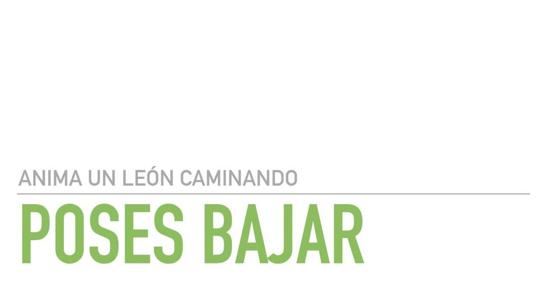 Poses Bajar del León