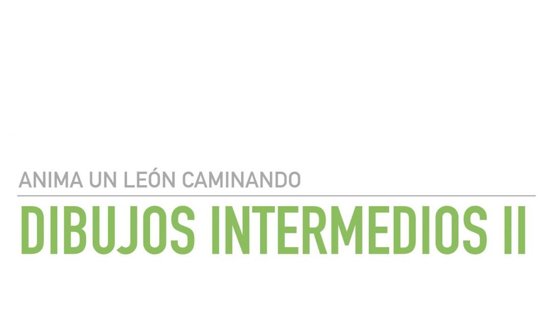 Dibujos Intermedios II del León