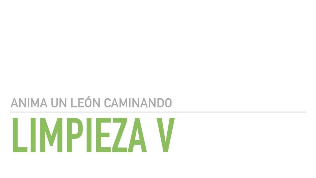 Limpieza V del León